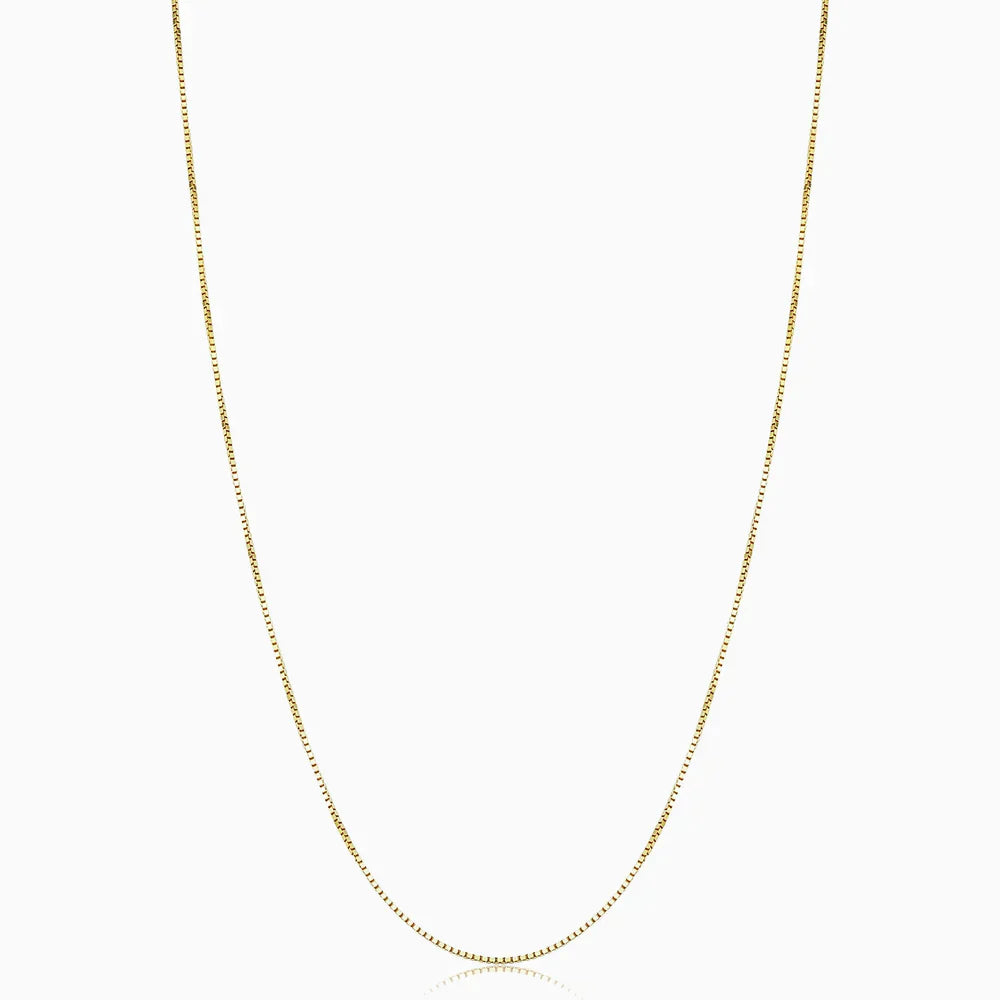 Delyth - Collana a Catena d'Oro Delicata